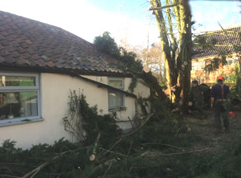 Norfolk house damage by fallen tree